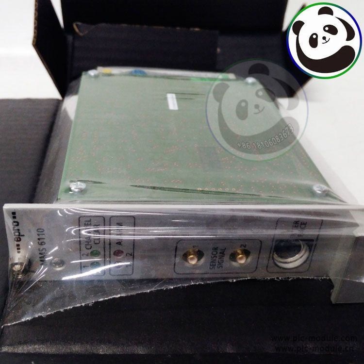 EPRO MMS6110 Monitoring Module MMS 6110..jpg