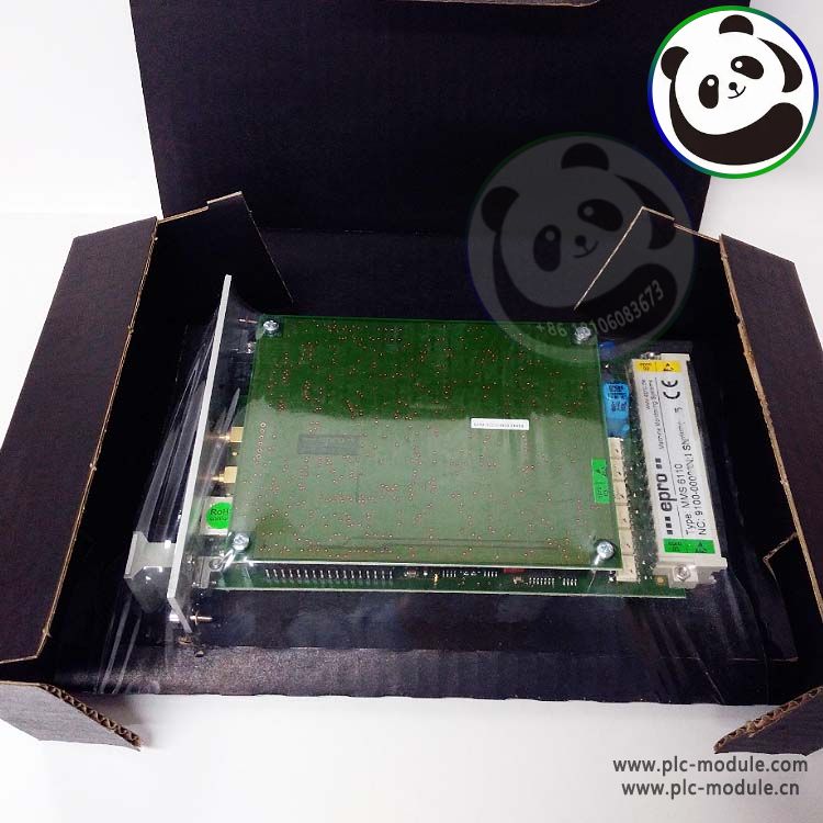 EPRO MMS6110 Monitoring Module MMS 6110...jpg