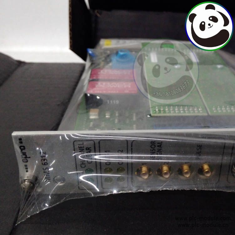 EPRO MMS6312 Monitoring Module MMS 6312..jpg