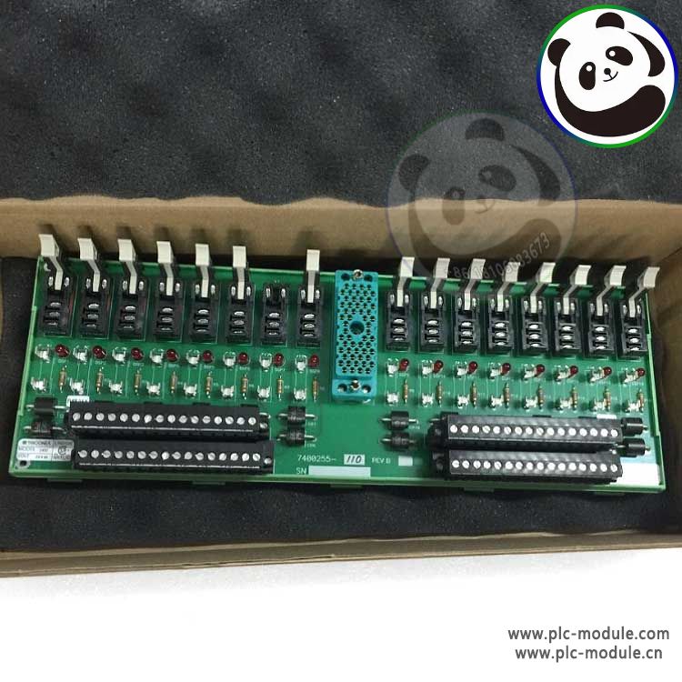 TRICONEX 2402 7400255-110 24V BASEPLATE Module.jpg